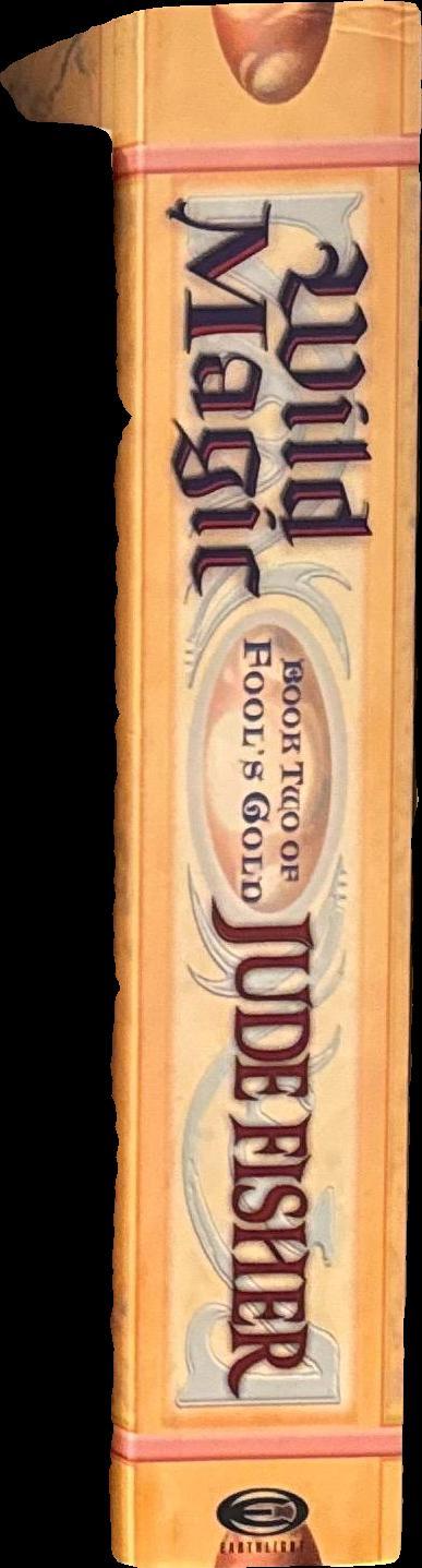 Wild magic : book two of fool's gold / Jude Fisher spine