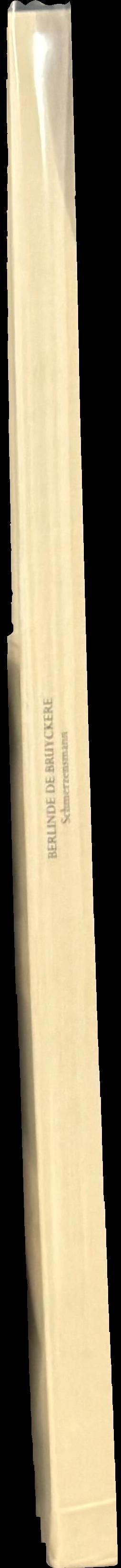 Schmerzensmann spine