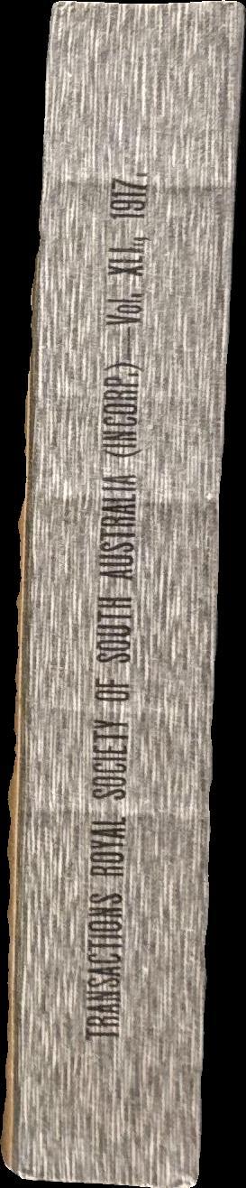 Transactions and proceedings of the Royal Society of South Australia, vol. XLI / edited by Walter Howchin spine