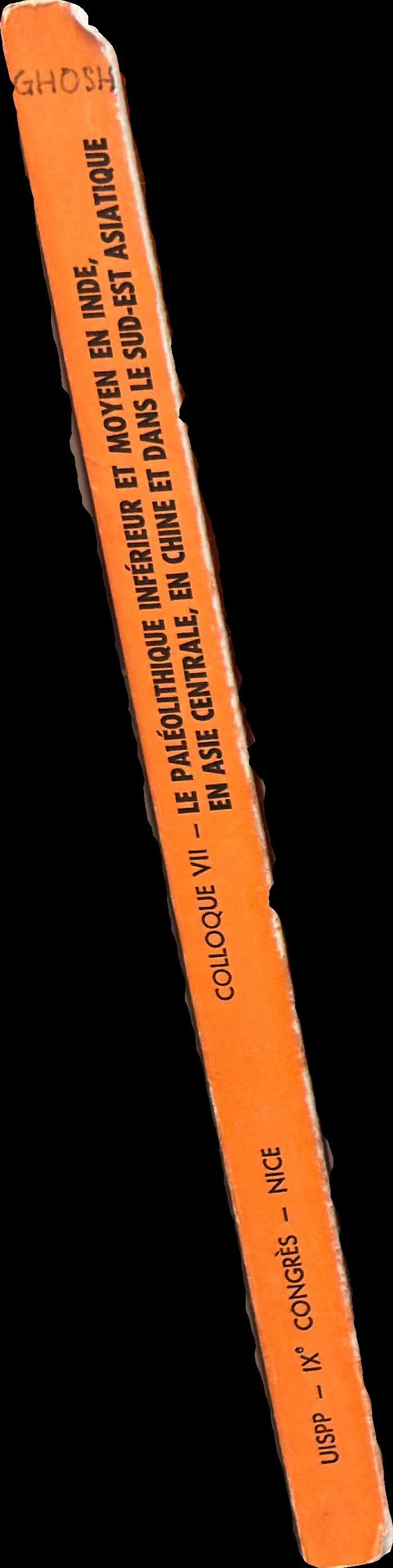 Le paléolithique inférieur et moyen en Inde, en Asie Centrale, en Chine et dans le Sud-Est asiatique spine