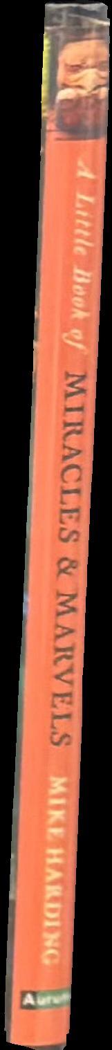 A little book of miracles & marvels spine