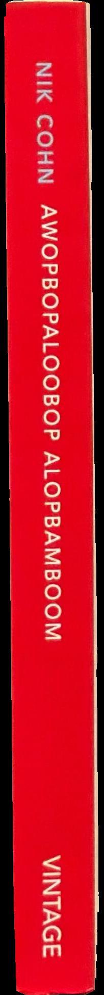 Awopbopaloobop alopbamboom : Pop from the beginning spine