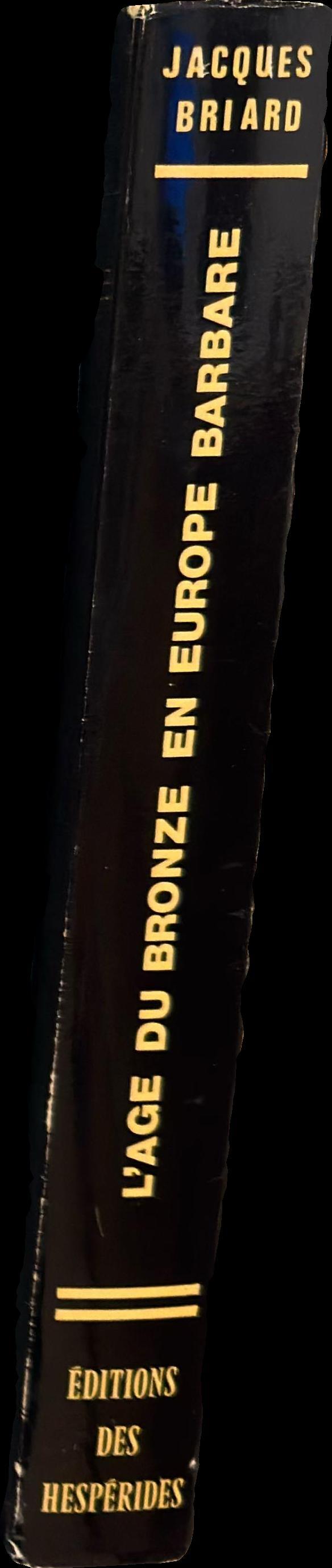 L'âge du bronze en Europe barbare : Des mégalithes aux Celtes spine