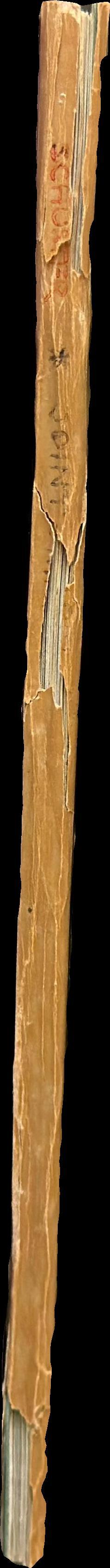 Joint-marks : a possible index of cultural contact between America, Oceania and the Far East spine