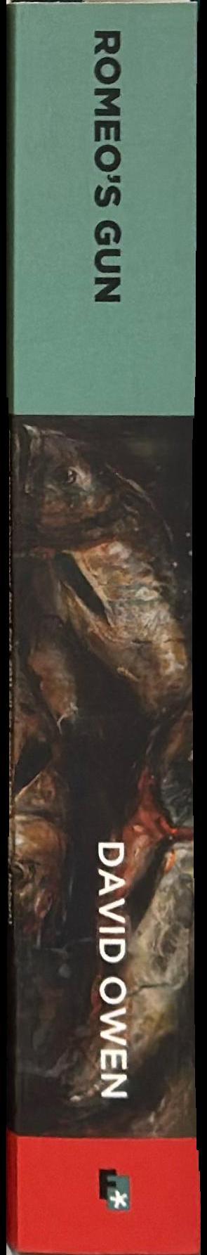 Romeo's gun spine
