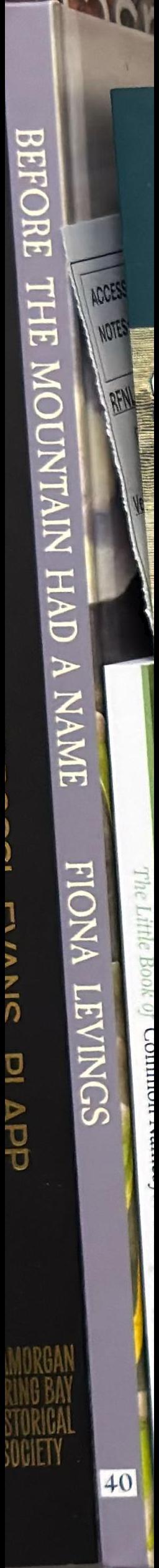 Before the mountain had a name spine