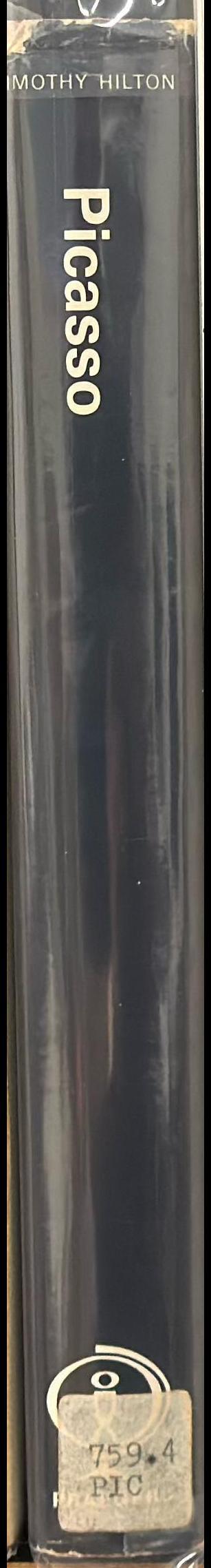 Picasso spine