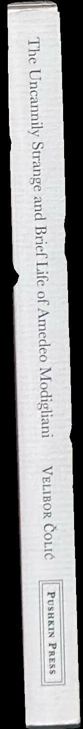 The uncannily strange and brief life of Amedeo Modigliani : a mosaic novel spine