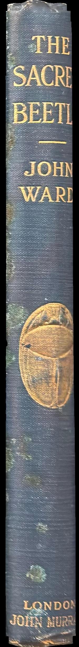 The sacred beetle : a popular treatise on Egyptian scarabs in art and history spine