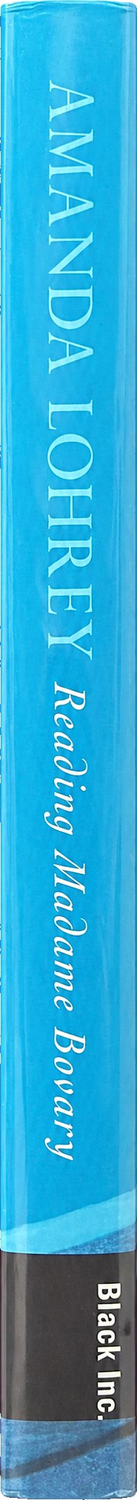 Reading Madame Bovary spine