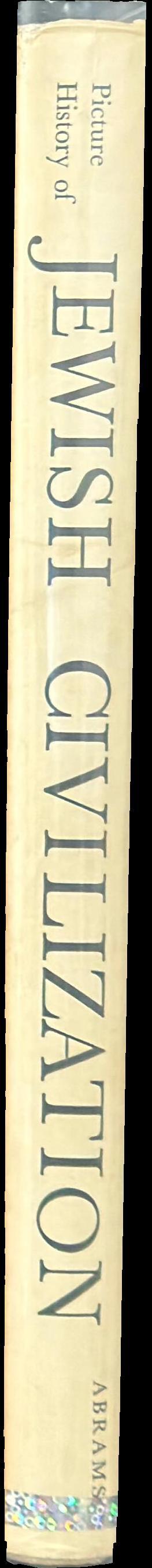 Picture history of Jewish civilization spine