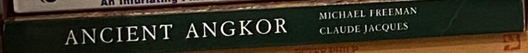 Angkor spine