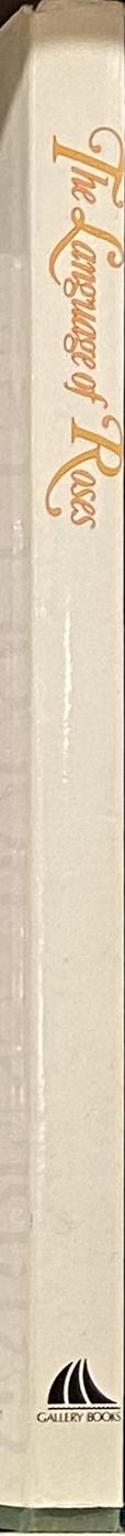 The war of the Roses spine