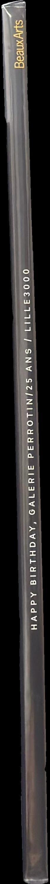 Happy birthday Galerie Perrotin : lille3000 spine