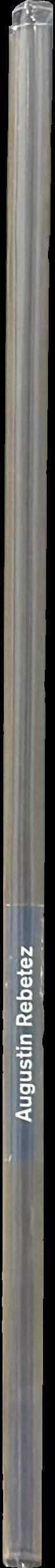 Augustin Rebetez spine