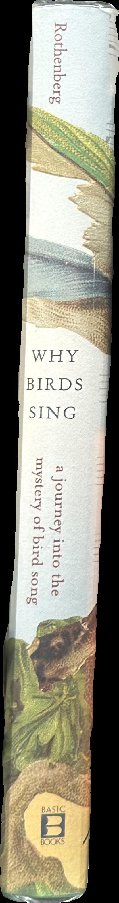 Why birds sing : a journey through the mystery of bird song / David Rothenberg spine