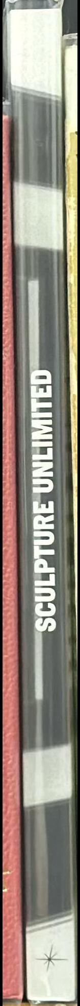 Sculpture unlimited spine